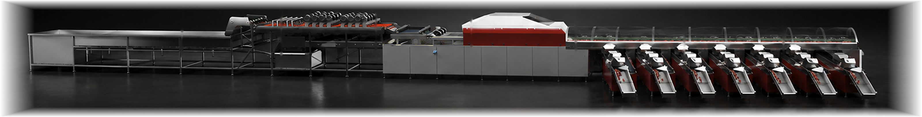 novaris Apple Edition industrial apple sorting, grading and sizing line